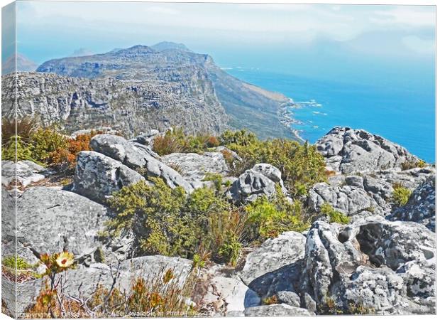 The South African coast from Table Mountain Canvas Print by David Mather