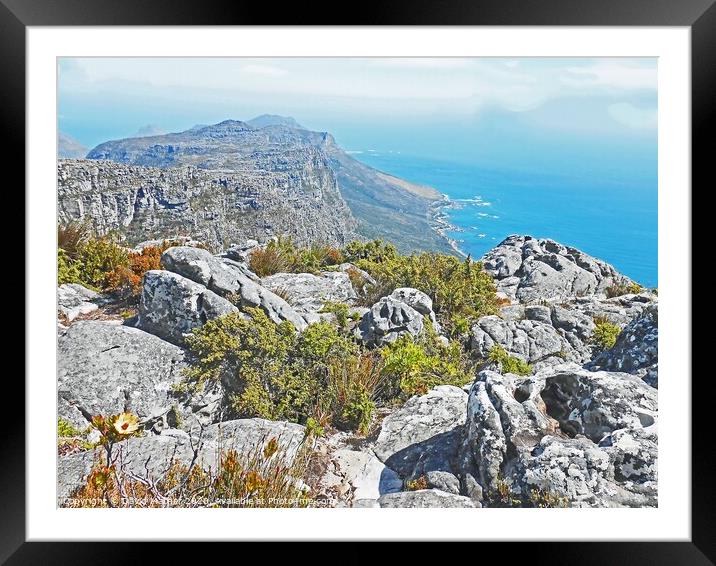 The South African coast from Table Mountain Framed Mounted Print by David Mather