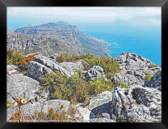 The South African coast from Table Mountain Framed Print by David Mather