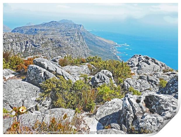 The South African coast from Table Mountain Print by David Mather