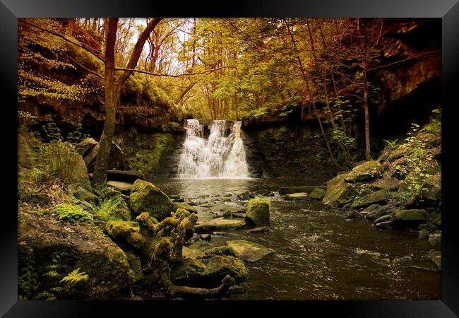 Goit stock falls Framed Print by Beverley Middleton