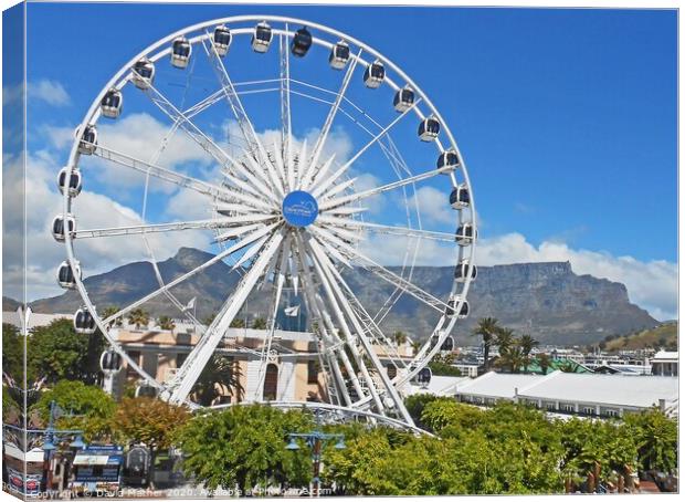 The Cape Wheel and Table Mountain, South Africa Canvas Print by David Mather