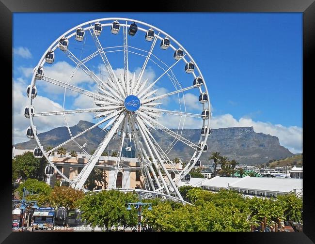 The Cape Wheel and Table Mountain, South Africa Framed Print by David Mather