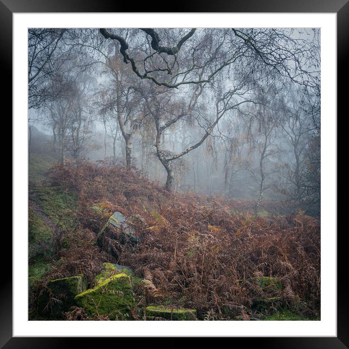 Oxhay Wood  Framed Mounted Print by Paul Andrews
