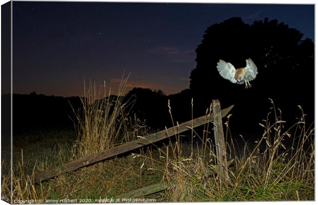 Barn Owl hunting at night Canvas Print by Jenny Hibbert