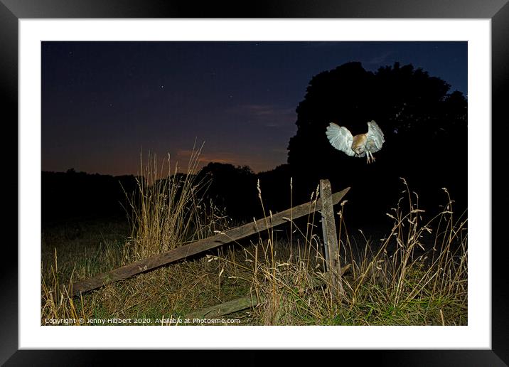 Barn Owl hunting at night Framed Mounted Print by Jenny Hibbert