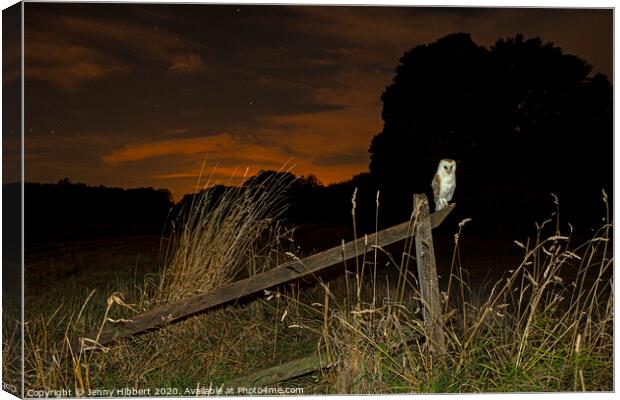Barn Owl perched on old fence Canvas Print by Jenny Hibbert