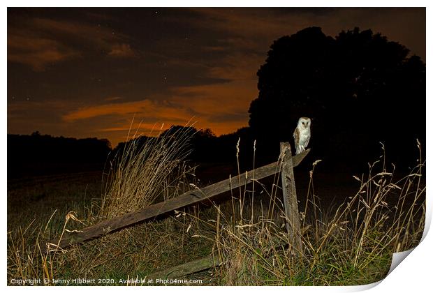 Barn Owl perched on old fence Print by Jenny Hibbert
