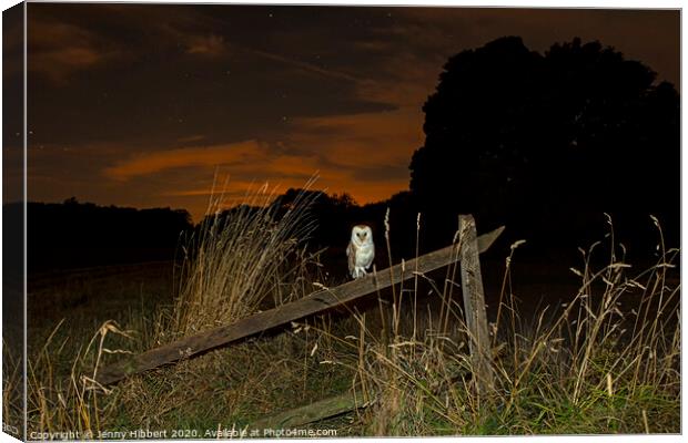Barn owl resting on old fence in the evening, Suffolk Canvas Print by Jenny Hibbert