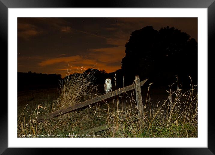 Barn owl resting on old fence in the evening, Suffolk Framed Mounted Print by Jenny Hibbert