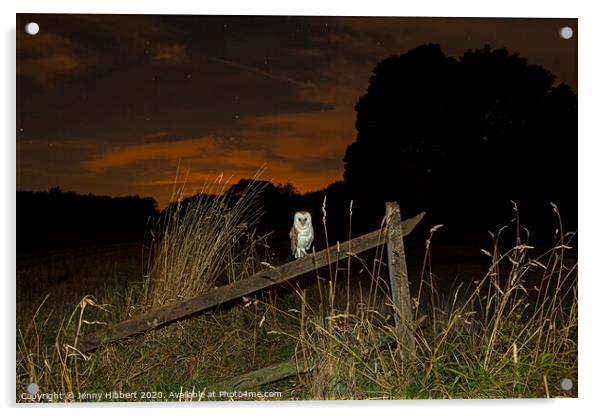 Barn owl resting on old fence in the evening, Suffolk Acrylic by Jenny Hibbert