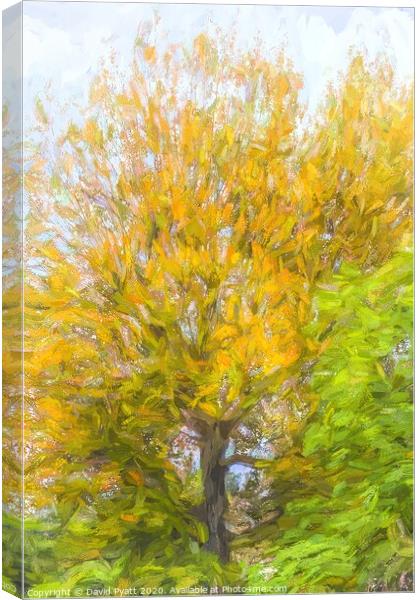 Tree Art Autumn Canvas Print by David Pyatt