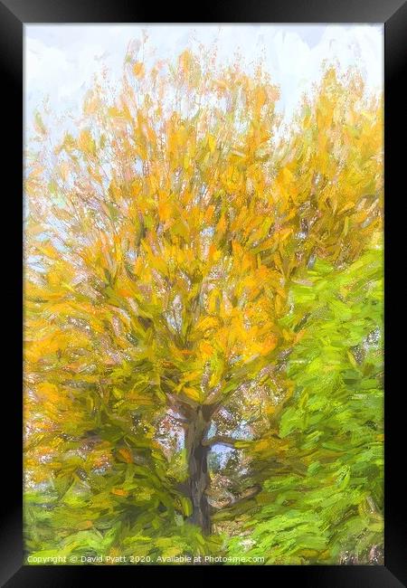 Tree Art Autumn Framed Print by David Pyatt