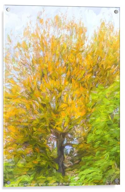 Tree Art Autumn Acrylic by David Pyatt