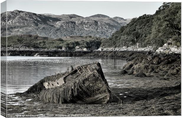 Badachro Harbour Wreck Canvas Print by Andrew Davies