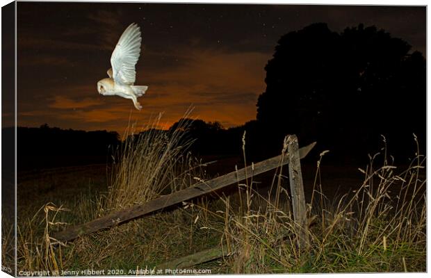 Barn Owl takes flight out hunting Canvas Print by Jenny Hibbert