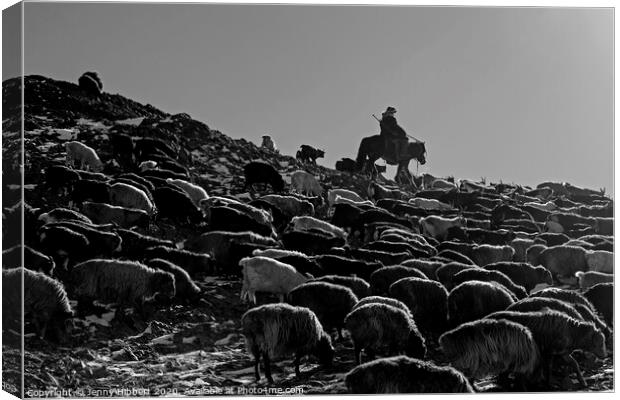 A black and white photo of a herder with livestock migrating in Mongolia Canvas Print by Jenny Hibbert