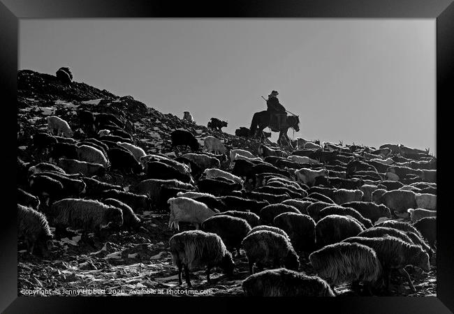 A black and white photo of a herder with livestock migrating in Mongolia Framed Print by Jenny Hibbert