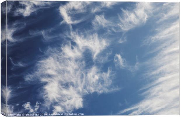 Summer Clouds  Canvas Print by Efraim Gal