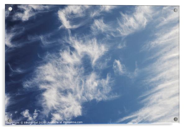 Summer Clouds  Acrylic by Efraim Gal