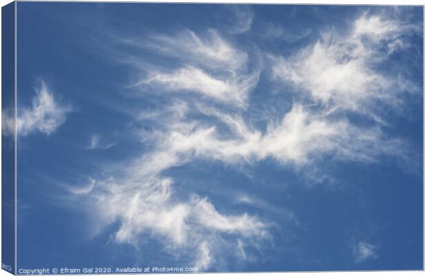 Sky clouds  Canvas Print by Efraim Gal