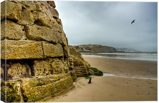 East Cliff Disappearing into the Mist Canvas Print by Alice Gosling