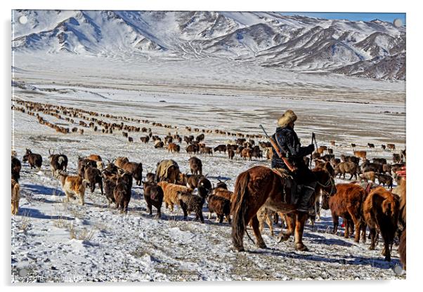 Kazakh nomad migrating with the livestock Mongolia Acrylic by Jenny Hibbert