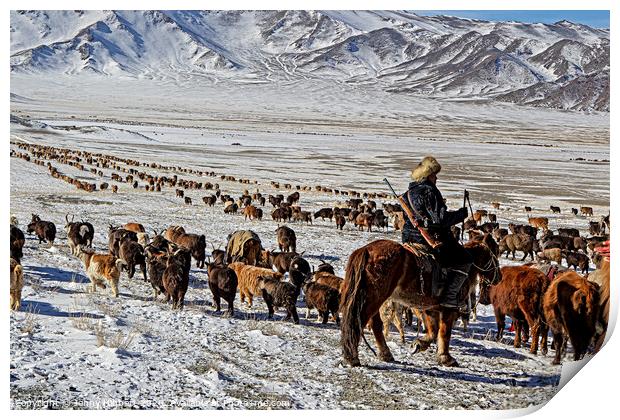 Kazakh nomad migrating with the livestock Mongolia Print by Jenny Hibbert