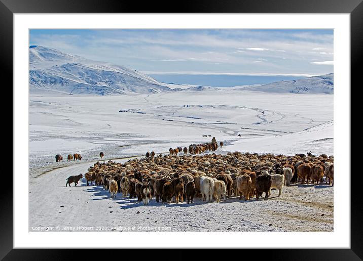 Kazakh nomads migrating heading for the Altai mountain range Framed Mounted Print by Jenny Hibbert