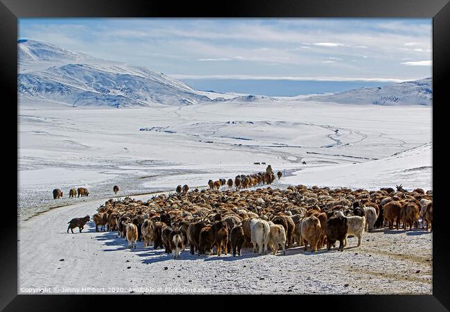 Kazakh nomads migrating heading for the Altai mountain range Framed Print by Jenny Hibbert