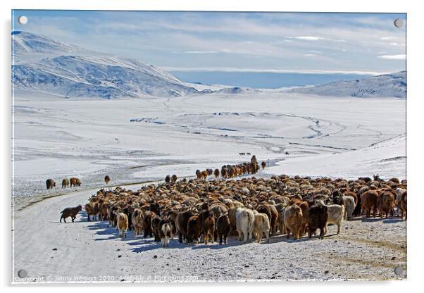 Kazakh nomads migrating heading for the Altai mountain range Acrylic by Jenny Hibbert