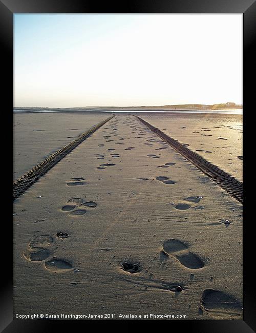 Tracks in the sand Framed Print by Sarah Harrington-James