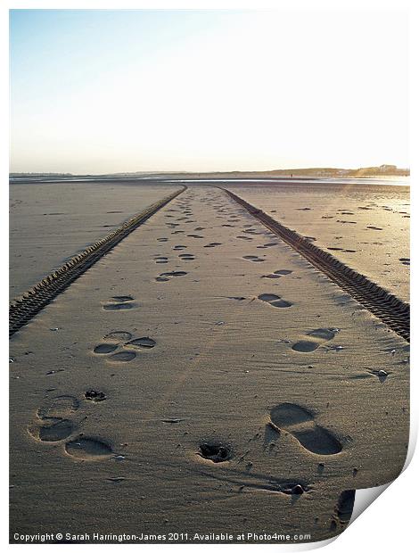 Tracks in the sand Print by Sarah Harrington-James