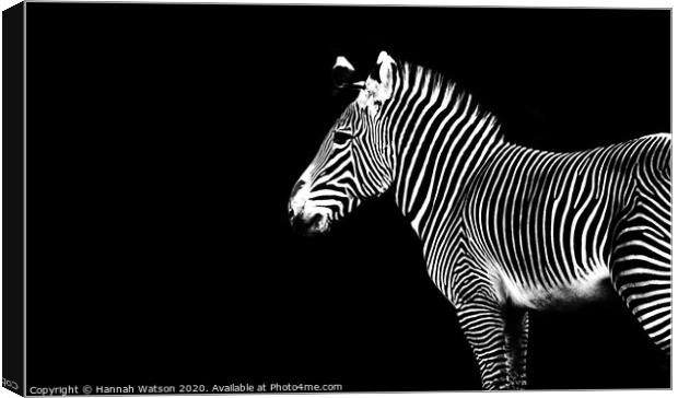 Zebra Portrait Canvas Print by Hannah Watson
