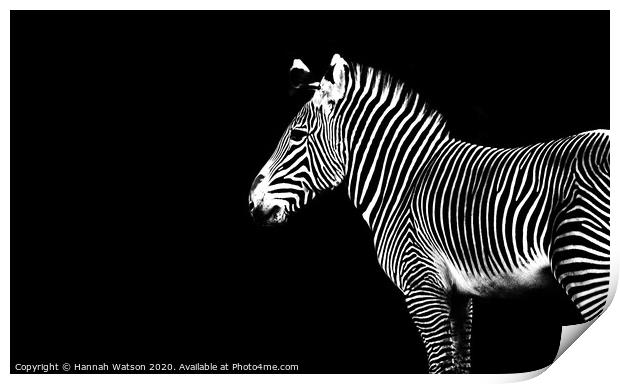 Zebra Portrait Print by Hannah Watson