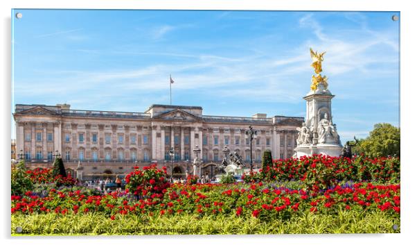 Buckingham Palace Acrylic by David Belcher