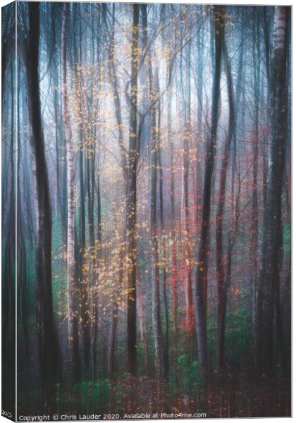Woodland impressions Canvas Print by Chris Lauder