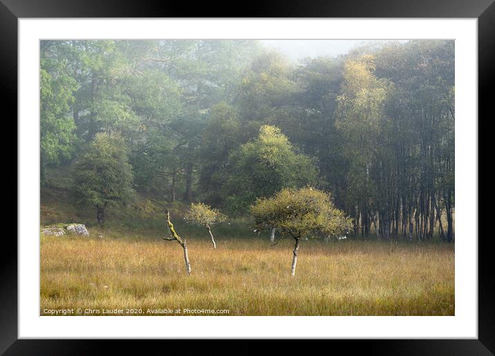 Stand out from the crowd Framed Mounted Print by Chris Lauder