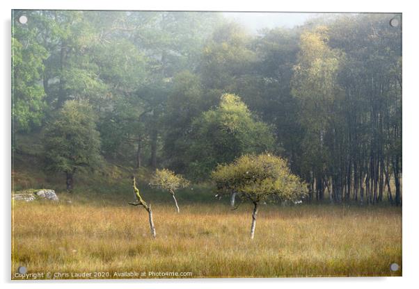 Stand out from the crowd Acrylic by Chris Lauder