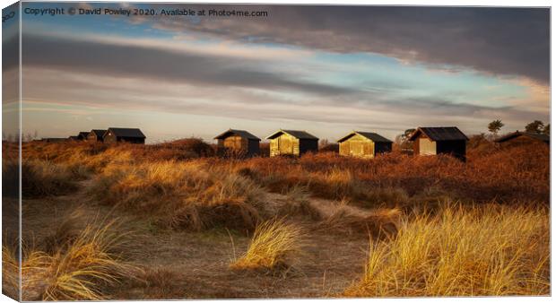 Walberswick Beach Huts At Dawn Canvas Print by David Powley