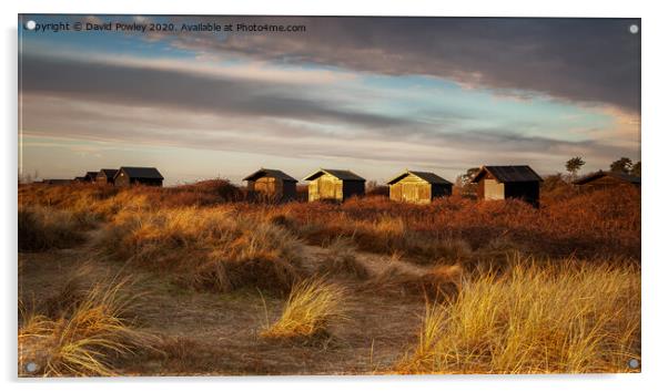 Walberswick Beach Huts At Dawn Acrylic by David Powley