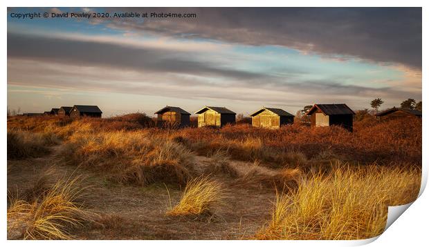 Walberswick Beach Huts At Dawn Print by David Powley