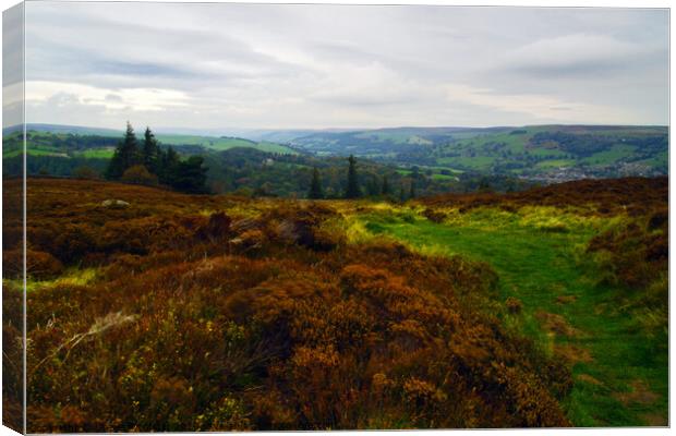 On Nought Moor Canvas Print by Steven Watson