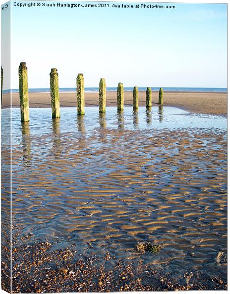 Camber Sands, East Sussex Canvas Print by Sarah Harrington-James