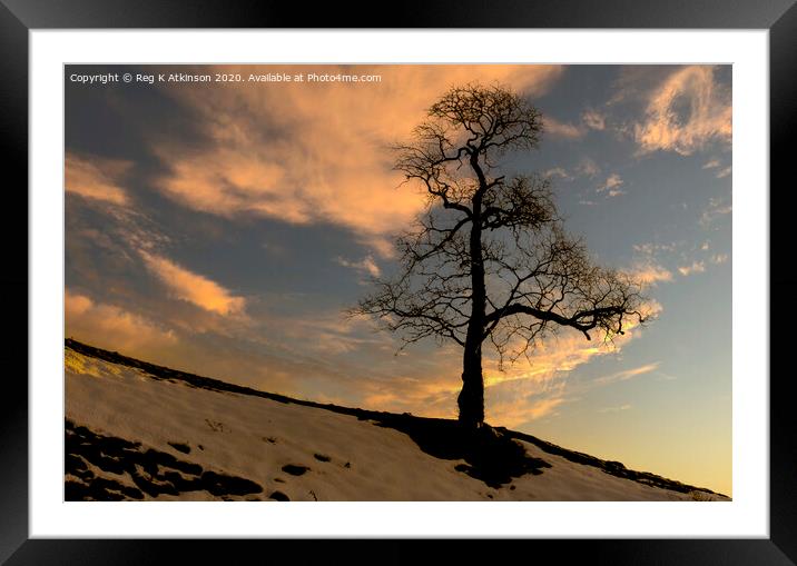 Lone Tree Sunset Framed Mounted Print by Reg K Atkinson