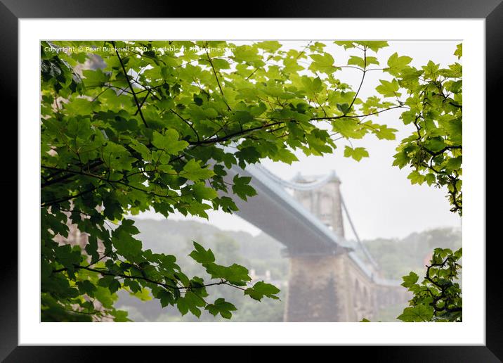 Misty Menai Bridge Through Leaves Framed Mounted Print by Pearl Bucknall