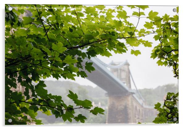 Misty Menai Bridge Through Leaves Acrylic by Pearl Bucknall