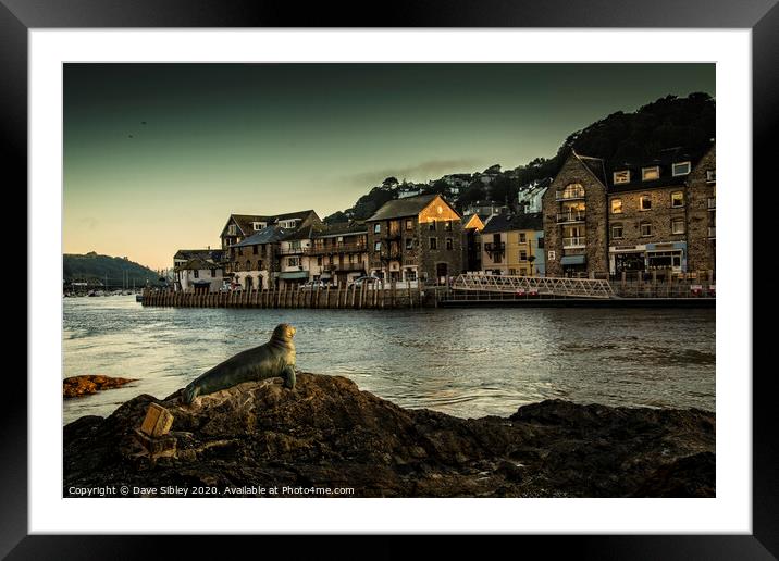 Looe harbour seal sculpture Framed Mounted Print by Dave Sibley