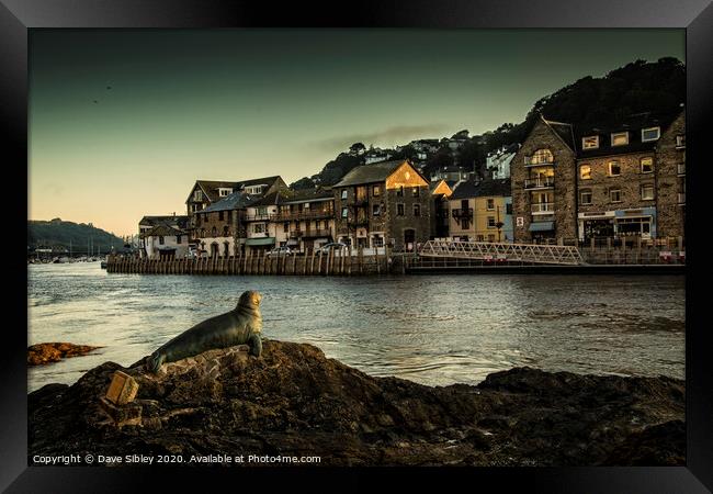 Looe harbour seal sculpture Framed Print by Dave Sibley