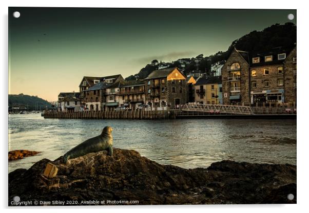 Looe harbour seal sculpture Acrylic by Dave Sibley